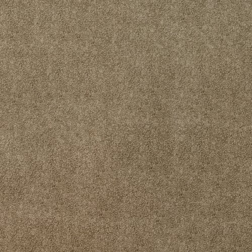 Trends Decorative Cushion, 100% Polyester, Comrade, Anti Microbal, 12x20, Umber Taupe